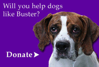 buster donate
