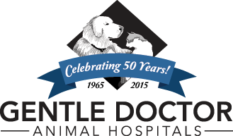 Gentle Doctor logo