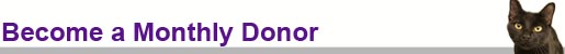 Monthly donor